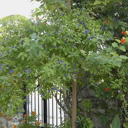 'αγριοι λιμένες * Iria