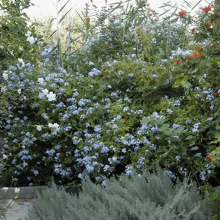 'αγριοι λιμένες