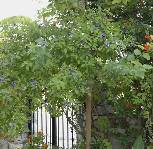 'αγριοι λιμένες * Íria