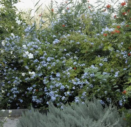 'αγριοι λιμένες